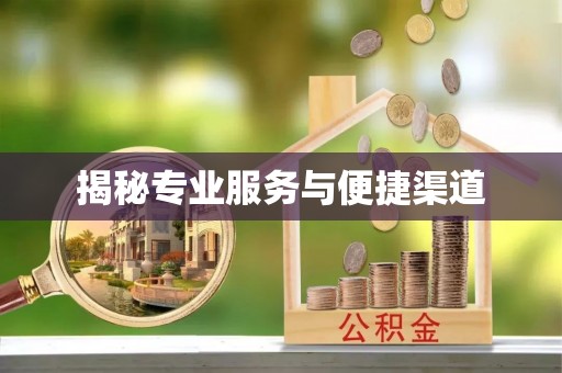 江安揭秘专业服务与便捷渠道