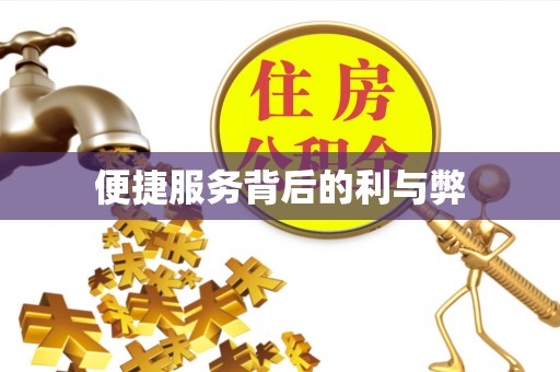江安便捷服务背后的利与弊