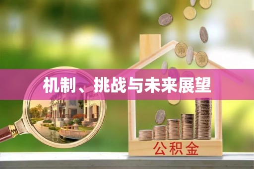 江安机制、挑战与未来展望