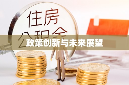 江安政策创新与未来展望